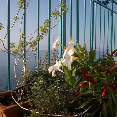 Casa Gargano Ravello Coast Apartment Amalfi